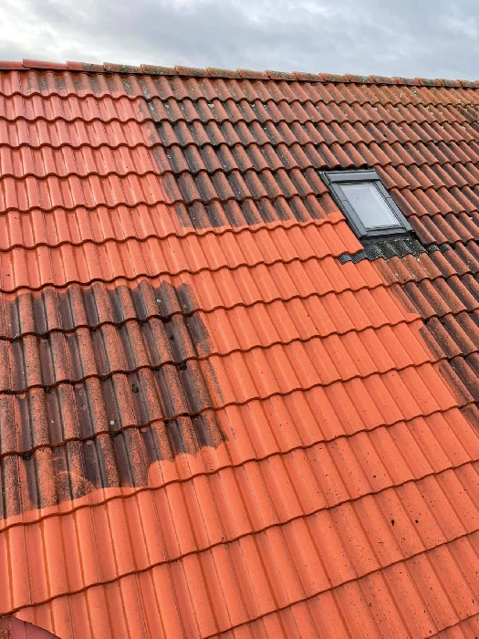 Taktvätt av villa - Takexperterna avlägsnar mossa och alger
